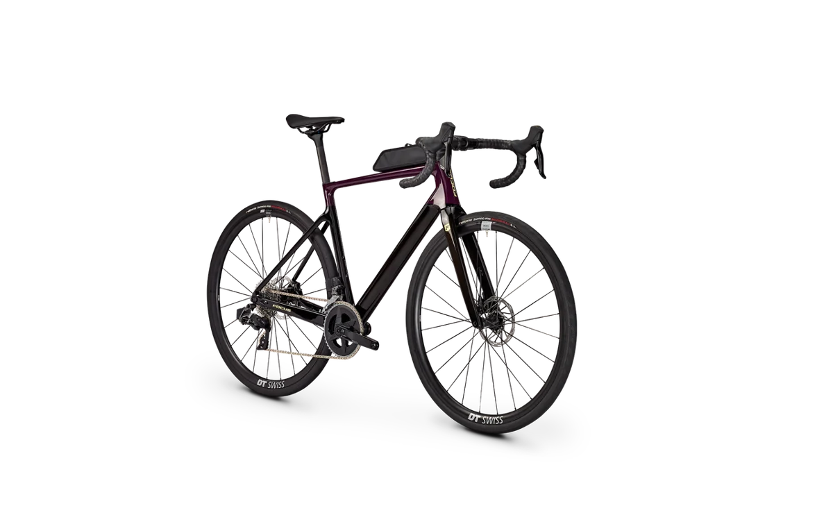 Focus PARALANE 8.8 28DI Violett/Carbon 2024