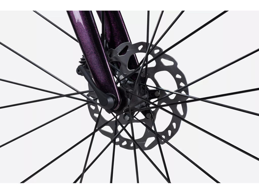 LAPIERRE Xelius SL 5.0 Di2 Luxy Blackberry 2024 - XL