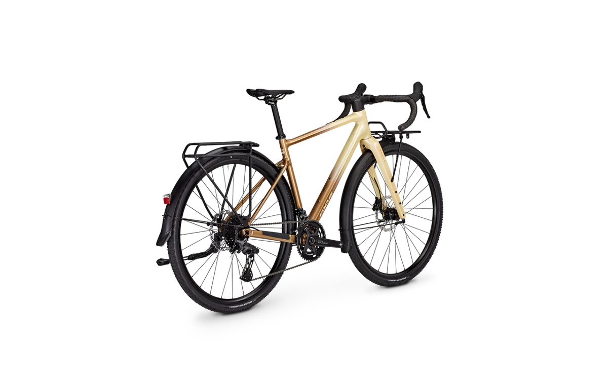 Focus ATLAS 6.8 EQP 28DI Sand/Oak 2026 - M