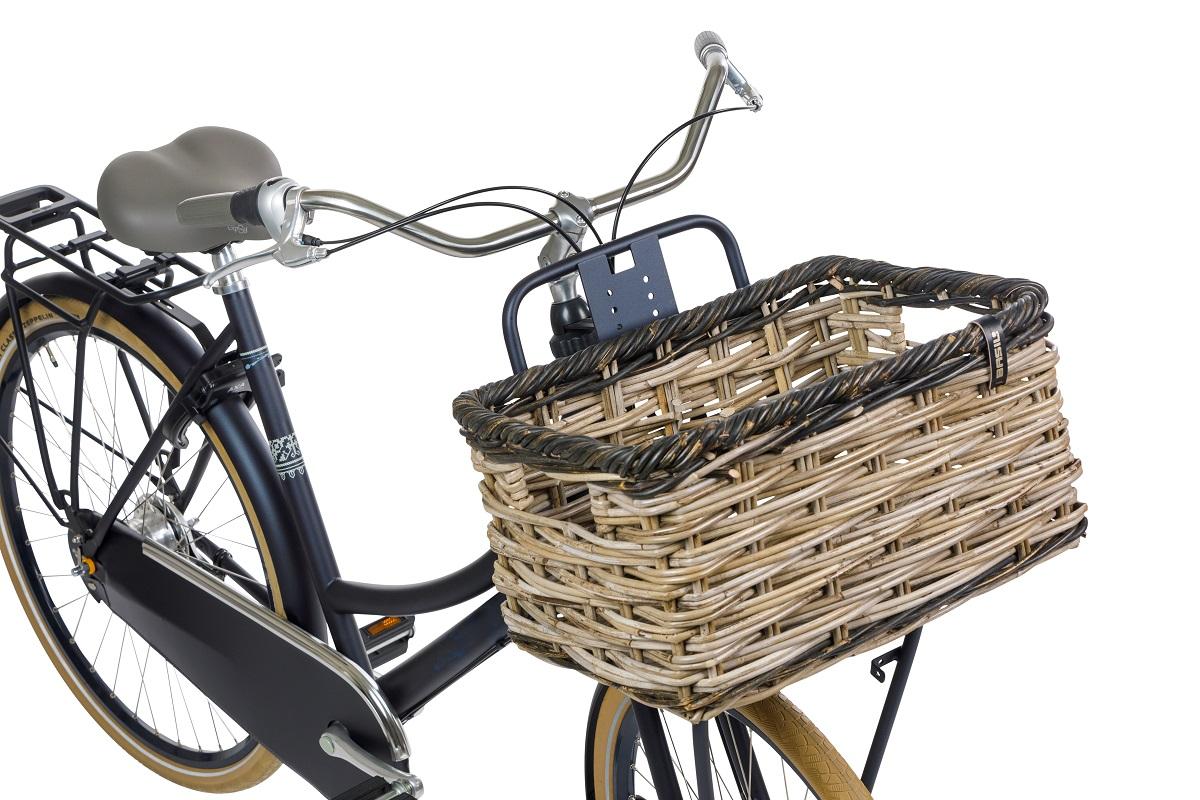 Basil DIJON L basket