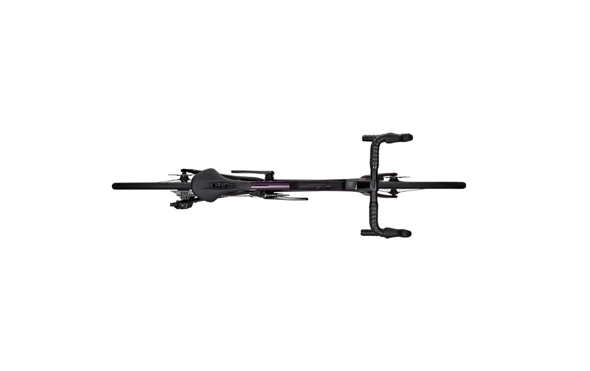 Focus PARALANE 8.8 28DI Violett/Carbon 2024