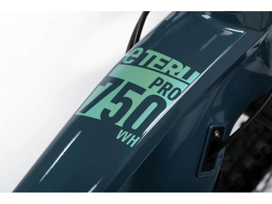 GHOST E-Teru Pro 29 B750 Metallic Green/Light Pearl Mint Gloss