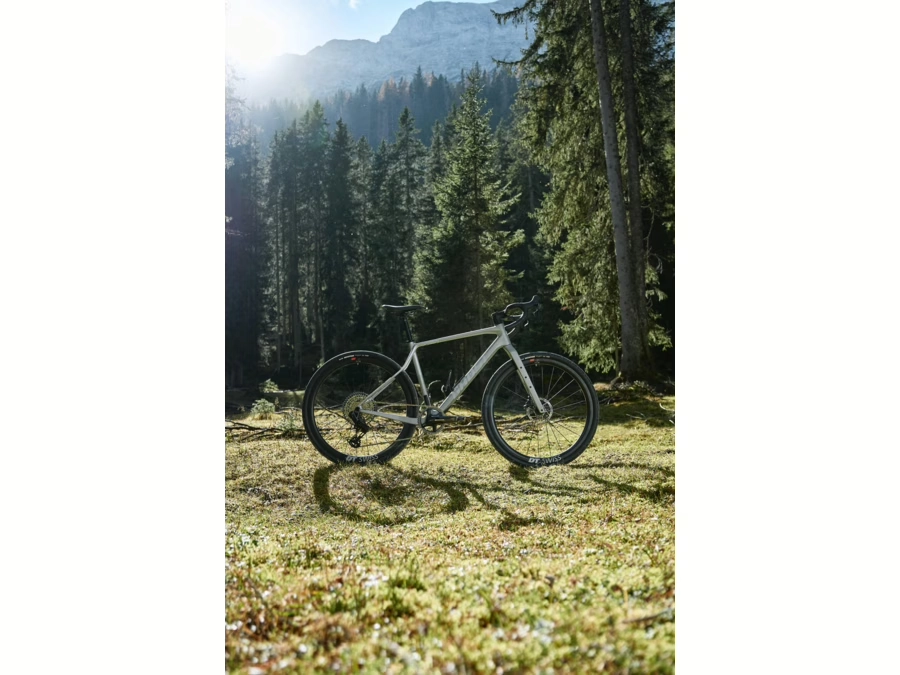 GHOST Asket CF LTD 2025 - L