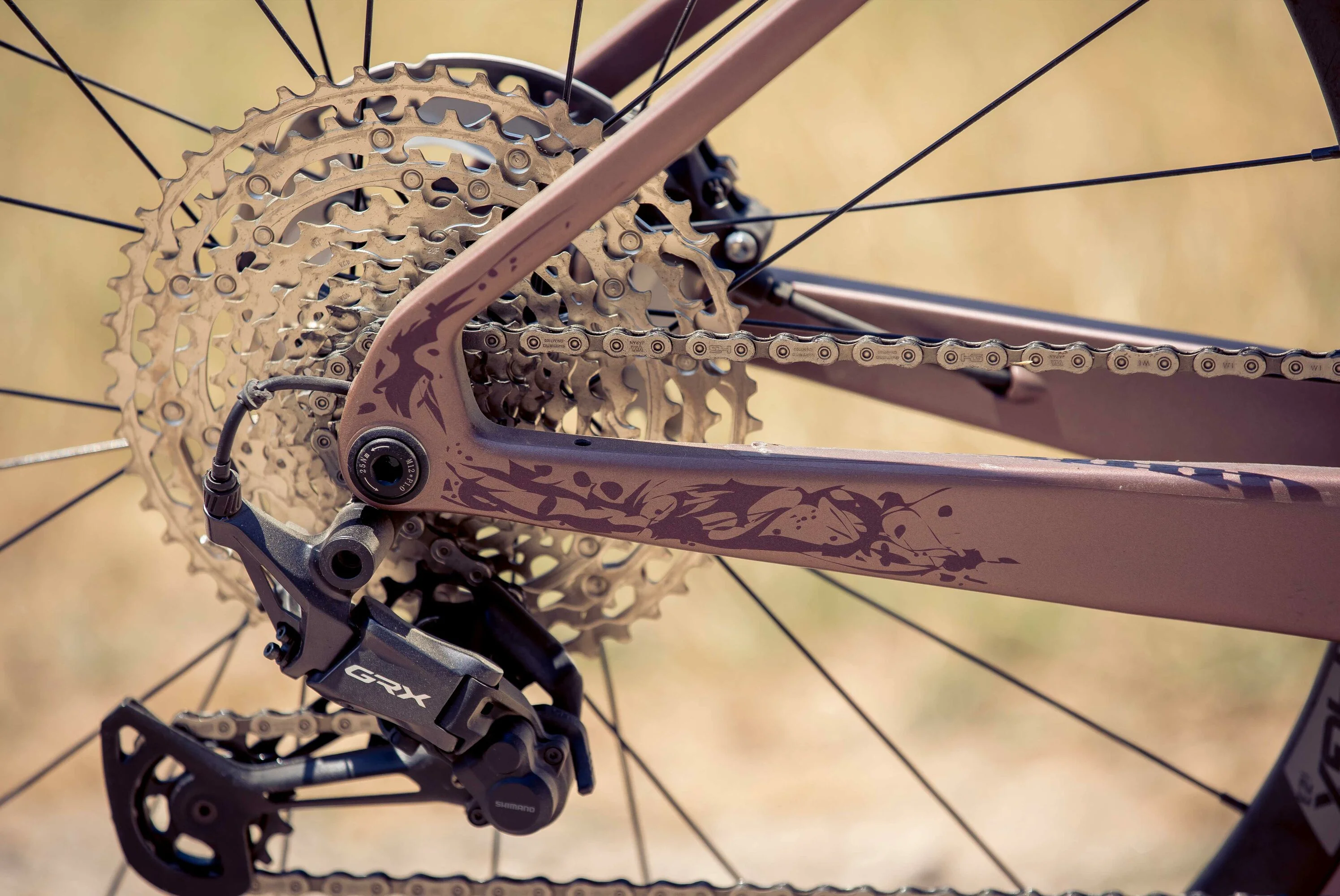 BH iGRAVELX NX CARBON 2.7 2026 Hnedý